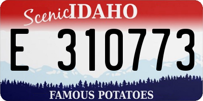 ID license plate E310773