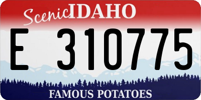 ID license plate E310775