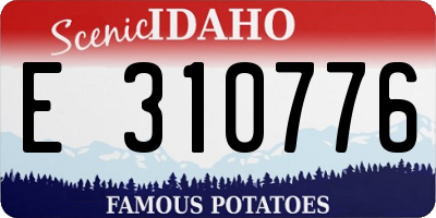 ID license plate E310776
