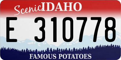 ID license plate E310778