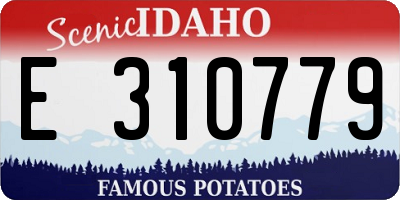 ID license plate E310779