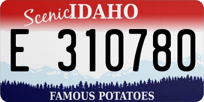 ID license plate E310780