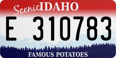 ID license plate E310783