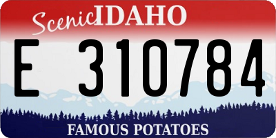 ID license plate E310784
