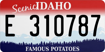 ID license plate E310787