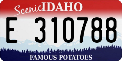 ID license plate E310788