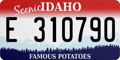 ID license plate E310790