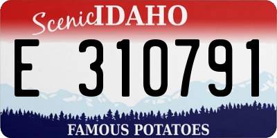 ID license plate E310791