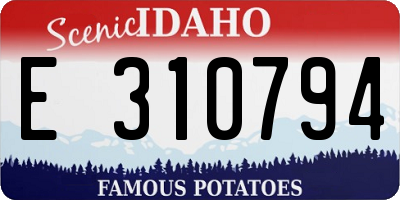 ID license plate E310794