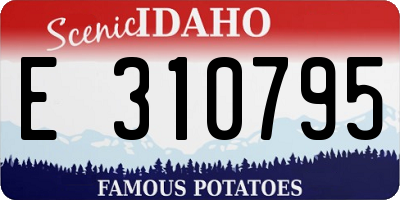 ID license plate E310795