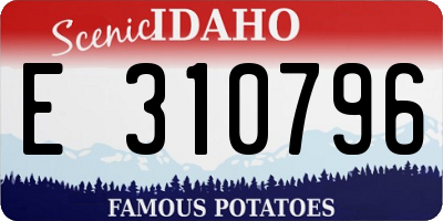 ID license plate E310796