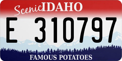 ID license plate E310797