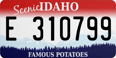 ID license plate E310799