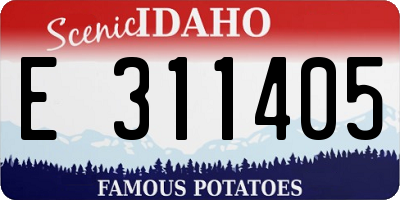 ID license plate E311405