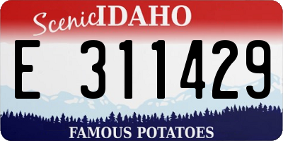 ID license plate E311429