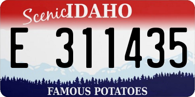 ID license plate E311435
