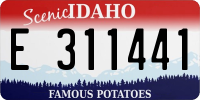ID license plate E311441
