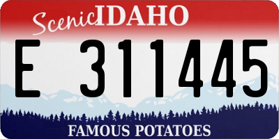 ID license plate E311445