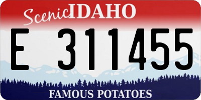 ID license plate E311455
