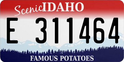 ID license plate E311464