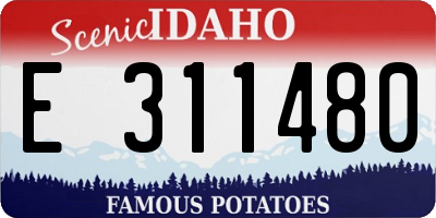 ID license plate E311480