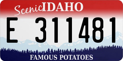 ID license plate E311481