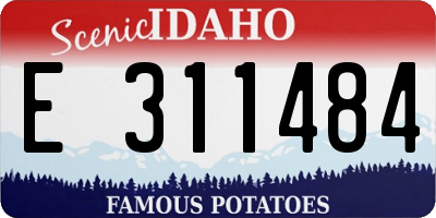 ID license plate E311484