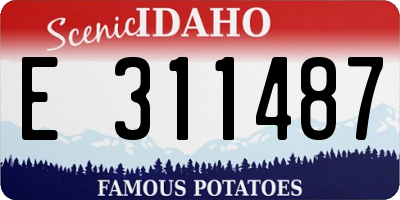 ID license plate E311487