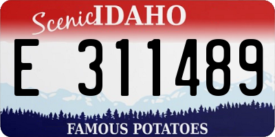 ID license plate E311489