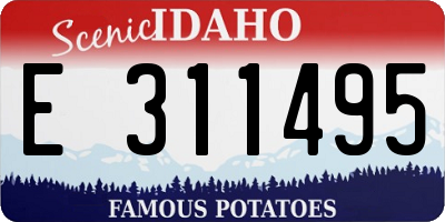 ID license plate E311495