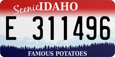 ID license plate E311496