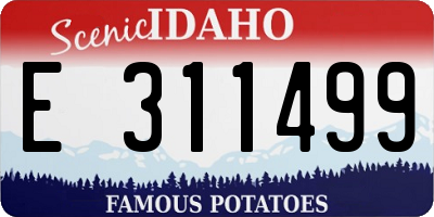 ID license plate E311499