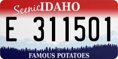 ID license plate E311501