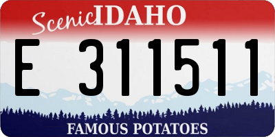 ID license plate E311511