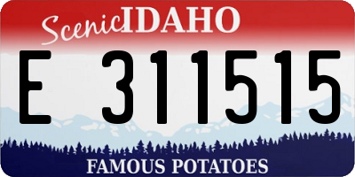 ID license plate E311515