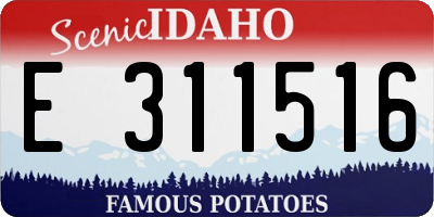 ID license plate E311516