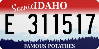 ID license plate E311517