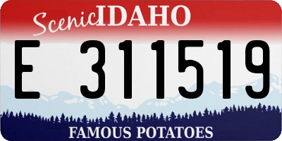 ID license plate E311519