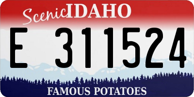 ID license plate E311524