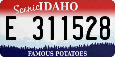 ID license plate E311528