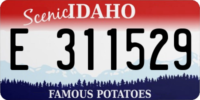 ID license plate E311529