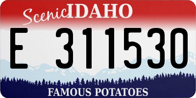 ID license plate E311530