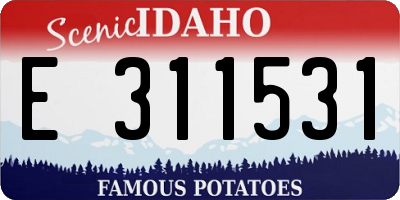 ID license plate E311531