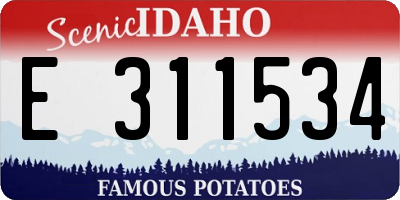 ID license plate E311534