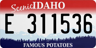 ID license plate E311536