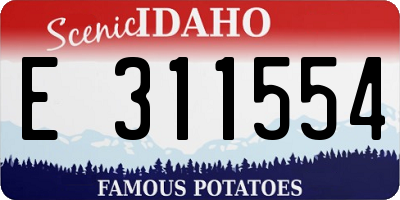 ID license plate E311554