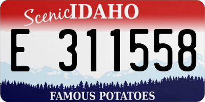 ID license plate E311558
