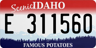 ID license plate E311560