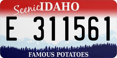 ID license plate E311561