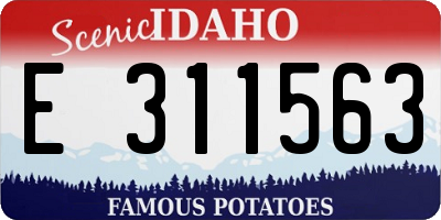 ID license plate E311563